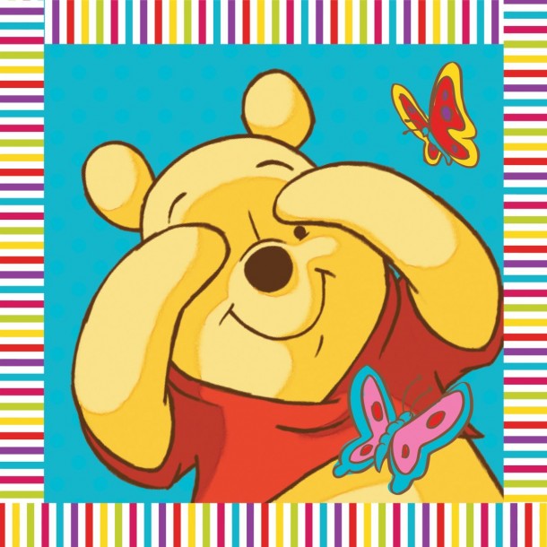 Λαβέτα-Μαγική Πετσέτα 30x30εκ. Digital Print Winnie 01 Disney Dimcol