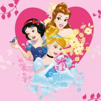 Λαβέτα 30x30εκ. Digital Print Princess 52 Disney Dimcol
